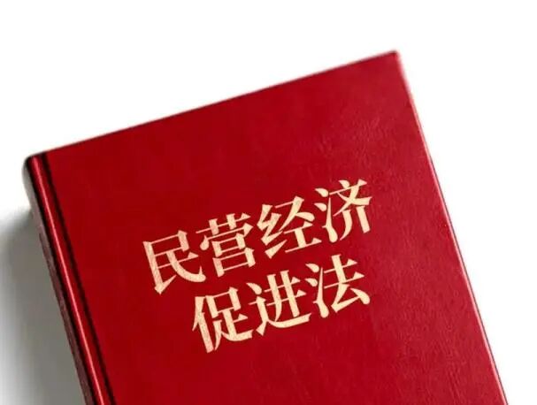 民营经济公平竞争指南：从案例看壁垒破除与权益守护
